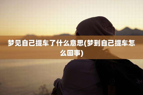 梦见自己提车了什么意思(梦到自己提车怎么回事)
