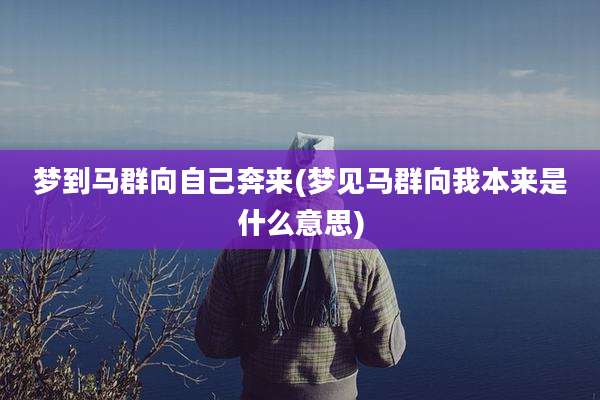 梦到马群向自己奔来(梦见马群向我本来是什么意思)