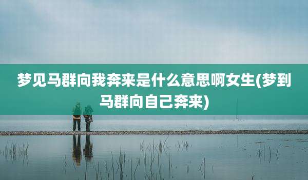 梦见马群向我奔来是什么意思啊女生(梦到马群向自己奔来)