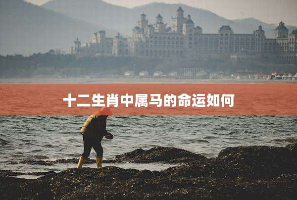 十二生肖中属马的命运如何