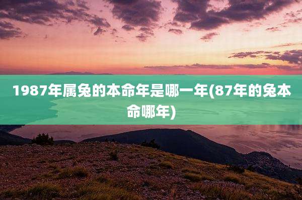 1987年属兔的本命年是哪一年(87年的兔本命哪年)