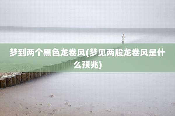 梦到两个黑色龙卷风(梦见两股龙卷风是什么预兆)