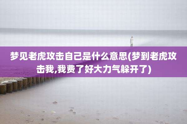 梦见老虎攻击自己是什么意思(梦到老虎攻击我,我费了好大力气躲开了)