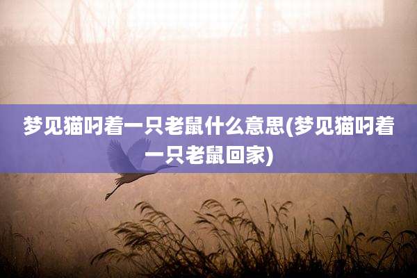 梦见猫叼着一只老鼠什么意思(梦见猫叼着一只老鼠回家)