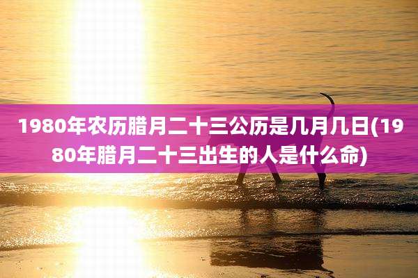 1980年农历腊月二十三公历是几月几日(1980年腊月二十三出生的人是什么命)