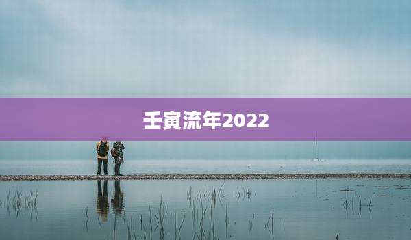 壬寅流年2022