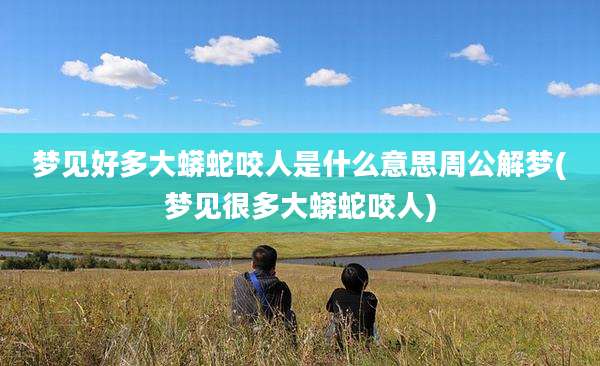 梦见好多大蟒蛇咬人是什么意思周公解梦(梦见很多大蟒蛇咬人)