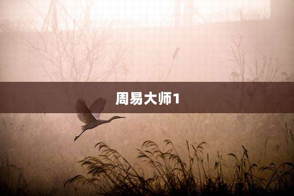周易大师1