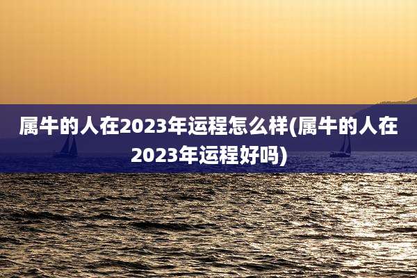 属牛的人在2023年运程怎么样(属牛的人在2023年运程好吗)