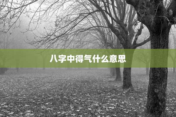 八字中得气什么意思