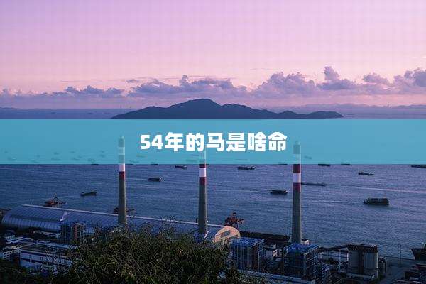 54年的马是啥命