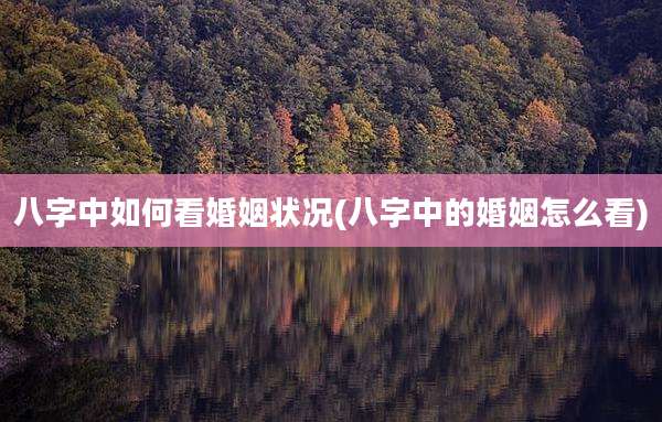八字中如何看婚姻状况(八字中的婚姻怎么看)