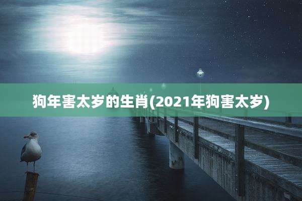 狗年害太岁的生肖(2021年狗害太岁)