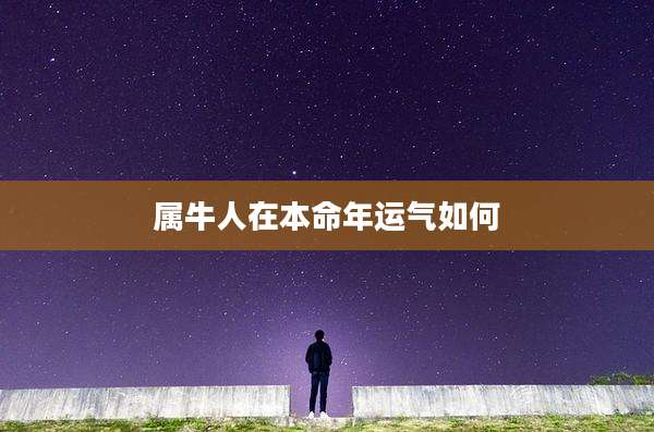 属牛人在本命年运气如何
