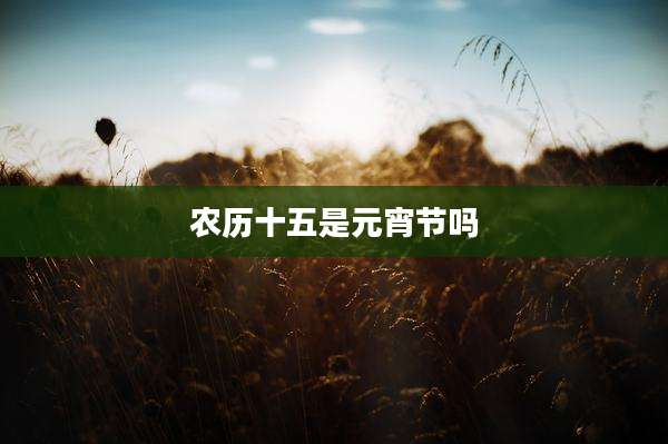 农历十五是元宵节吗