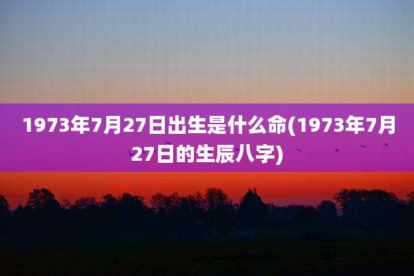 1973年7月27日出生是什么命(1973年7月27日的生辰八字)