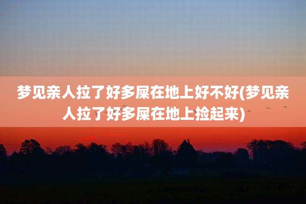 梦见亲人拉了好多屎在地上好不好(梦见亲人拉了好多屎在地上捡起来)