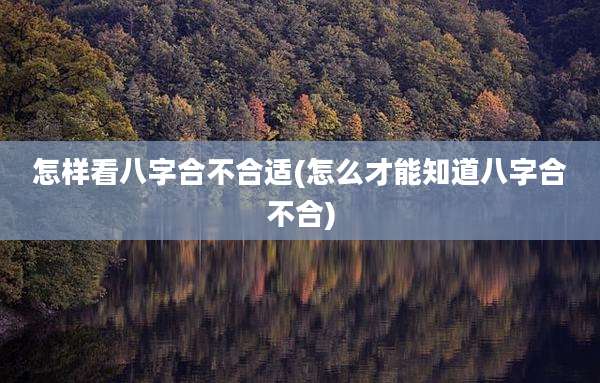 怎样看八字合不合适(怎么才能知道八字合不合)