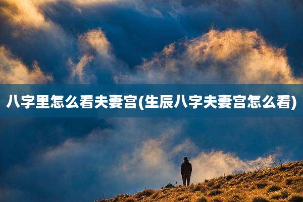 八字里怎么看夫妻宫(生辰八字夫妻宫怎么看)