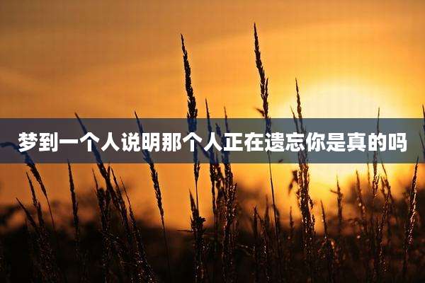 梦到一个人说明那个人正在遗忘你是真的吗
