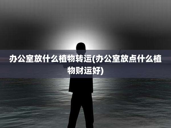 办公室放什么植物转运(办公室放点什么植物财运好)