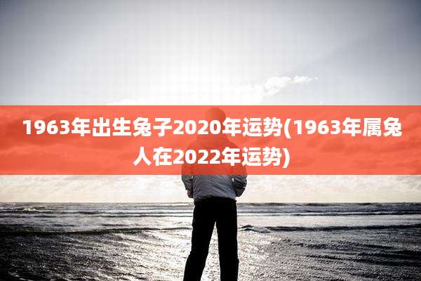 1963年出生兔子2020年运势(1963年属兔人在2022年运势)