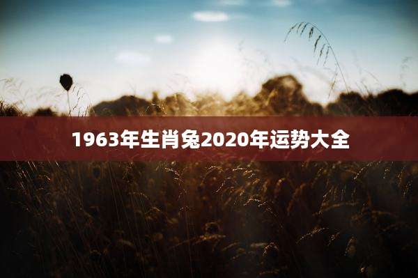 1963年生肖兔2020年运势大全