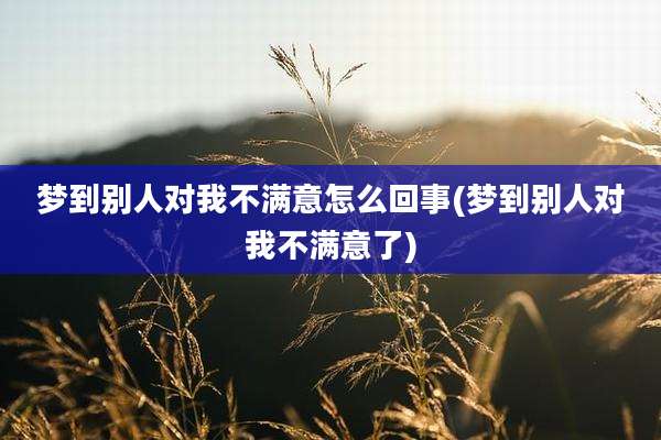 梦到别人对我不满意怎么回事(梦到别人对我不满意了)