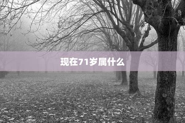 现在71岁属什么