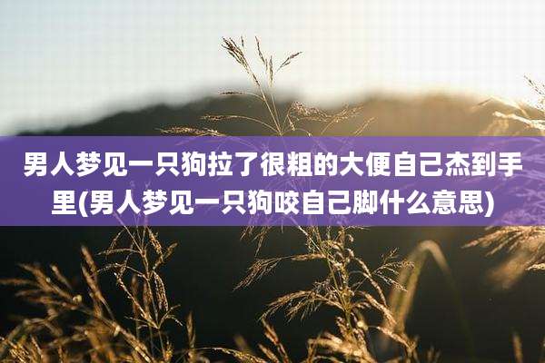 男人梦见一只狗拉了很粗的大便自己杰到手里(男人梦见一只狗咬自己脚什么意思)