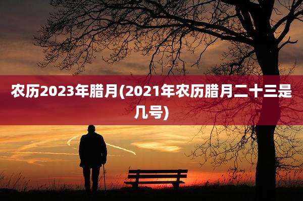 农历2023年腊月(2021年农历腊月二十三是几号)