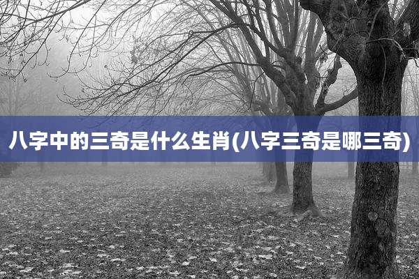 八字中的三奇是什么生肖(八字三奇是哪三奇)