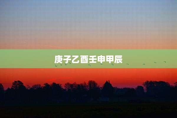 庚子乙酉壬申甲辰