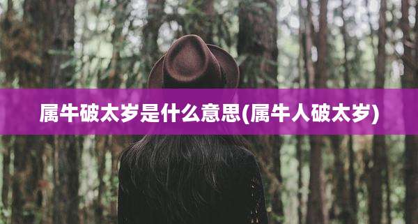 属牛破太岁是什么意思(属牛人破太岁)