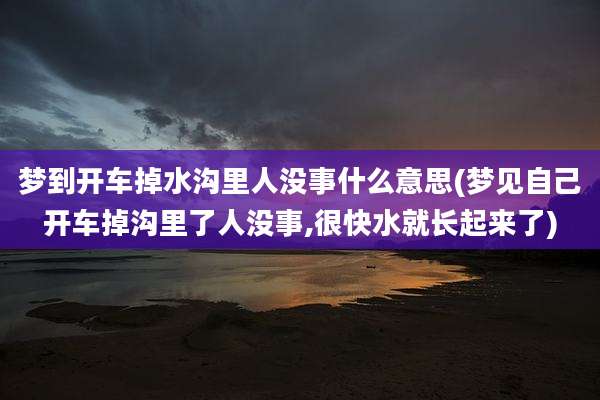 梦到开车掉水沟里人没事什么意思(梦见自己开车掉沟里了人没事,很快水就长起来了)