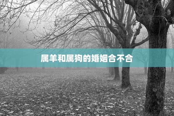 属羊和属狗的婚姻合不合