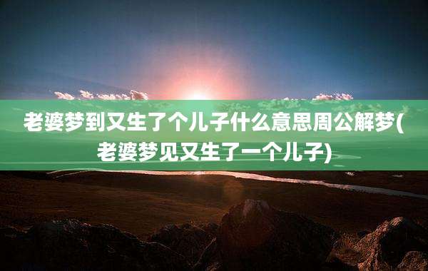 老婆梦到又生了个儿子什么意思周公解梦(老婆梦见又生了一个儿子)
