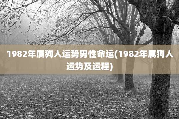 1982年属狗人运势男性命运(1982年属狗人运势及运程)