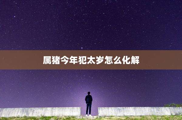 属猪今年犯太岁怎么化解