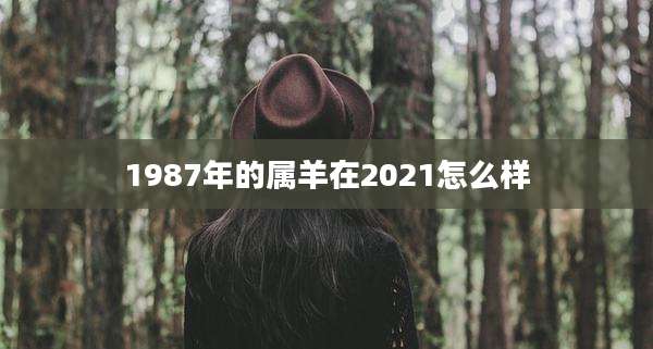 1987年的属羊在2021怎么样