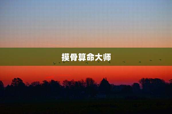 摸骨算命大师
