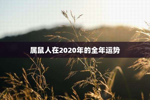 属鼠人在2020年的全年运势