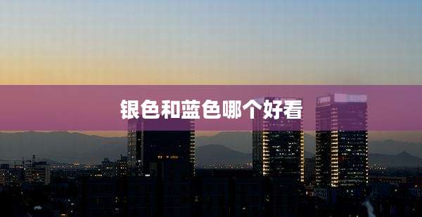 银色和蓝色哪个好看