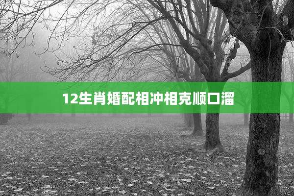 12生肖婚配相冲相克顺口溜