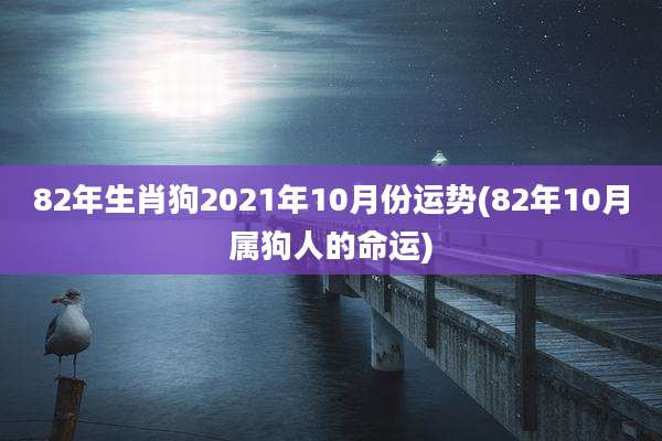 82年生肖狗2021年10月份运势(82年10月属狗人的命运)