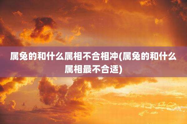 属兔的和什么属相不合相冲(属兔的和什么属相最不合适)