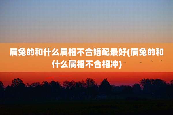 属兔的和什么属相不合婚配最好(属兔的和什么属相不合相冲)