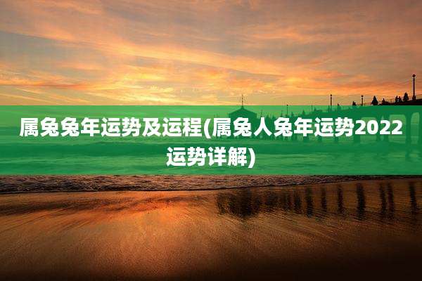 属兔兔年运势及运程(属兔人兔年运势2022运势详解)