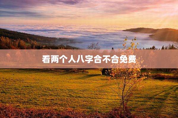 看两个人八字合不合免费