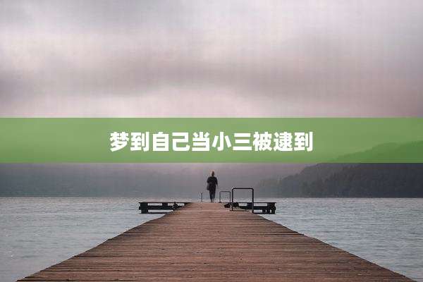 梦到自己当小三被逮到